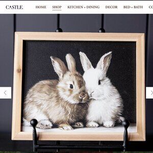 CASTLE. Baby Rabbits Framed Art Print – 8x10 Photo in 11x9 Pine Wood Frame
